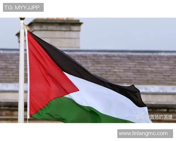 足球明星积极发声支持巴勒斯坦争取权利与和平的呼声